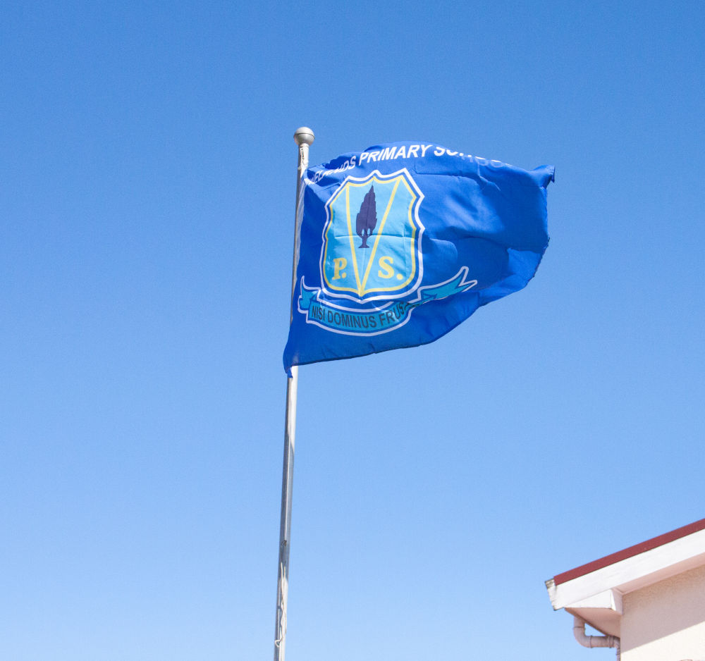 The Pinelands Primary School Flag